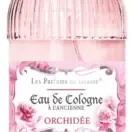 orchidée.webp