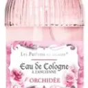 orchidée.webp
