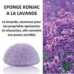 lavande.webp