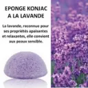 lavande.webp