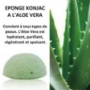 aloé.webp