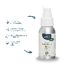 Spray d'Ambiance Purifiant Hiver NéoBulle 50ml2.webp