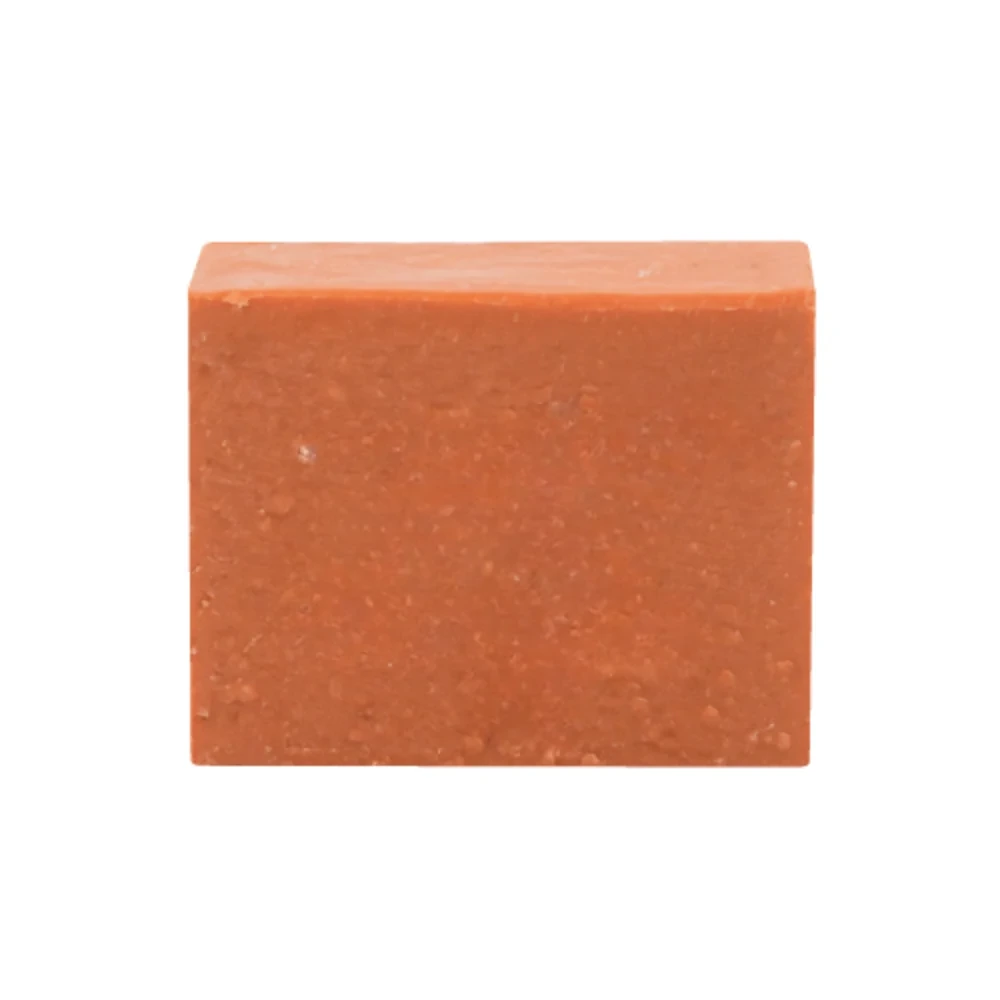 Savon Doux à L'Huile de Noyaux d'Abricot + Miel Andromée 100G2.webp