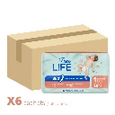 WEB - Visuels couches(4).webp