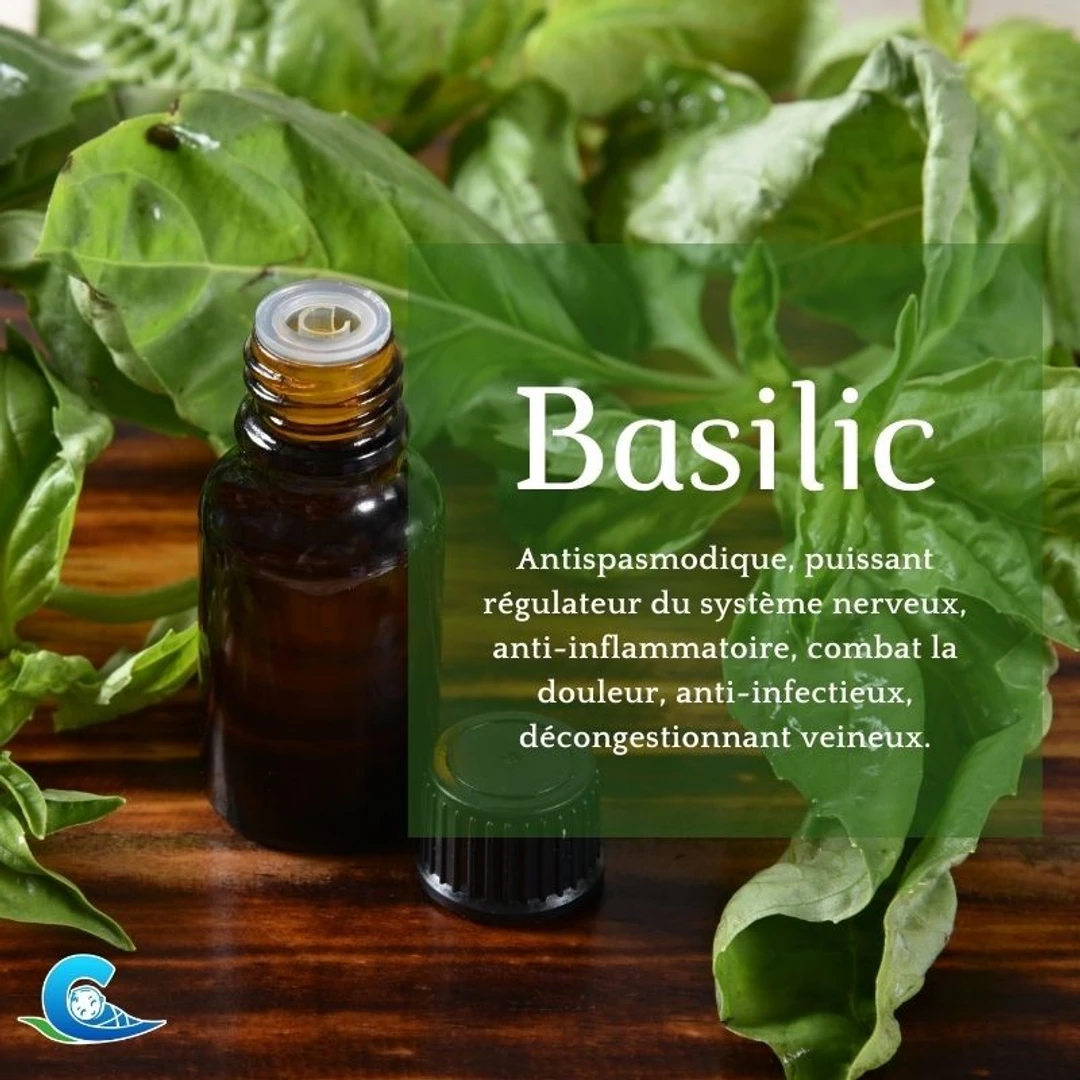 [HEBOMEO10]-Huile-Essentielle-De-Basilic-Bio-Ceven-Aromes-10ml-2.webp