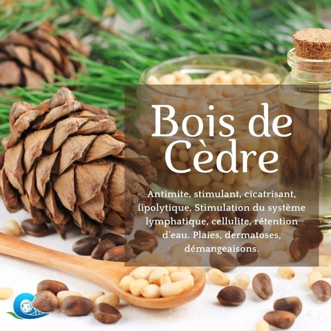 Huile Essentielle de Bois de Cèdre Bio Ceven'Aromes 10ml