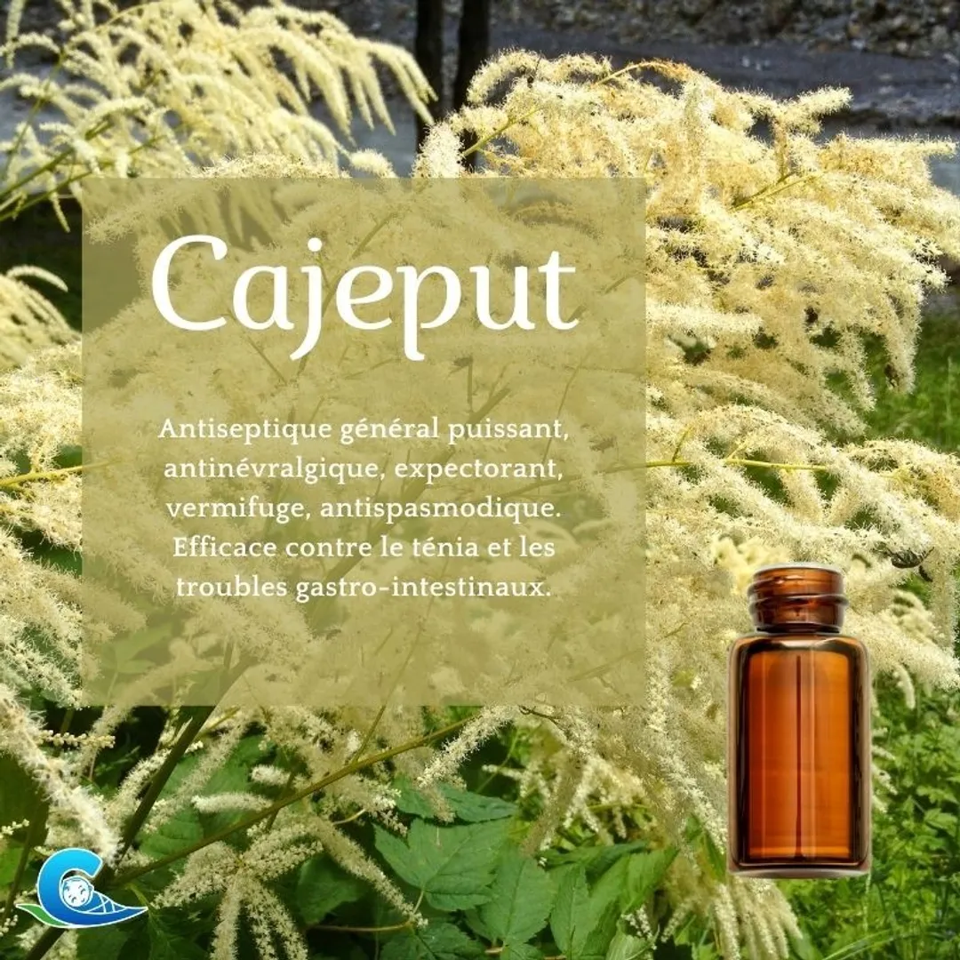 Huile Essentielle de Cajeput Bio Ceven'Aromes 10ml