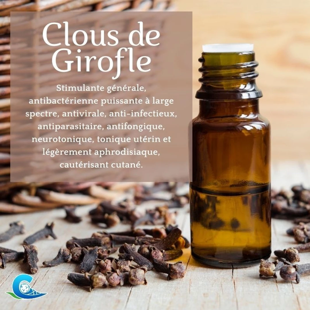 Huile Essentielle de Clou de Girofle Bio Ceven'Aromes 10ml
