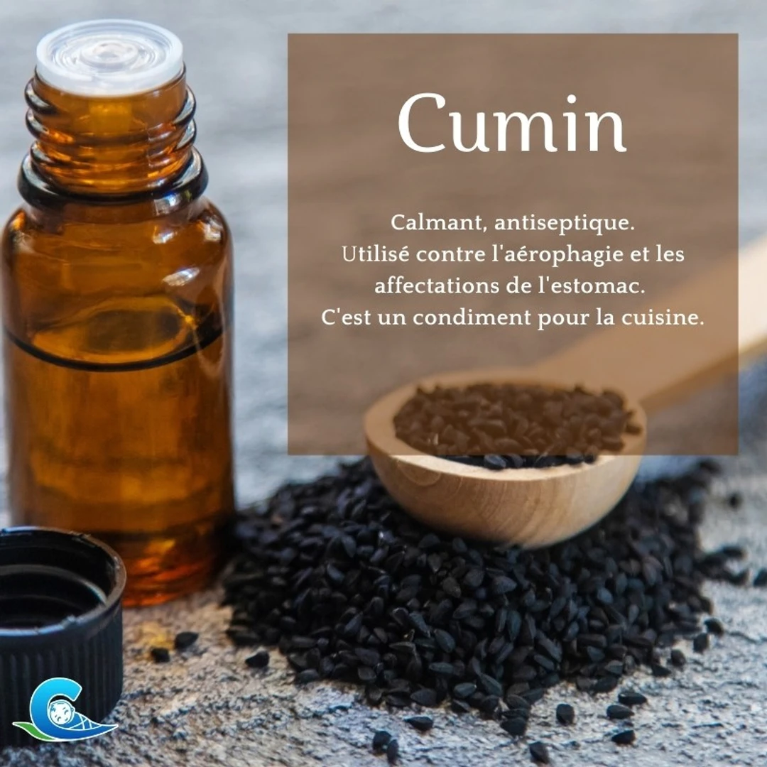 Huile Essentielle de Cumin Hebbd Ceven'Aromes 10ml