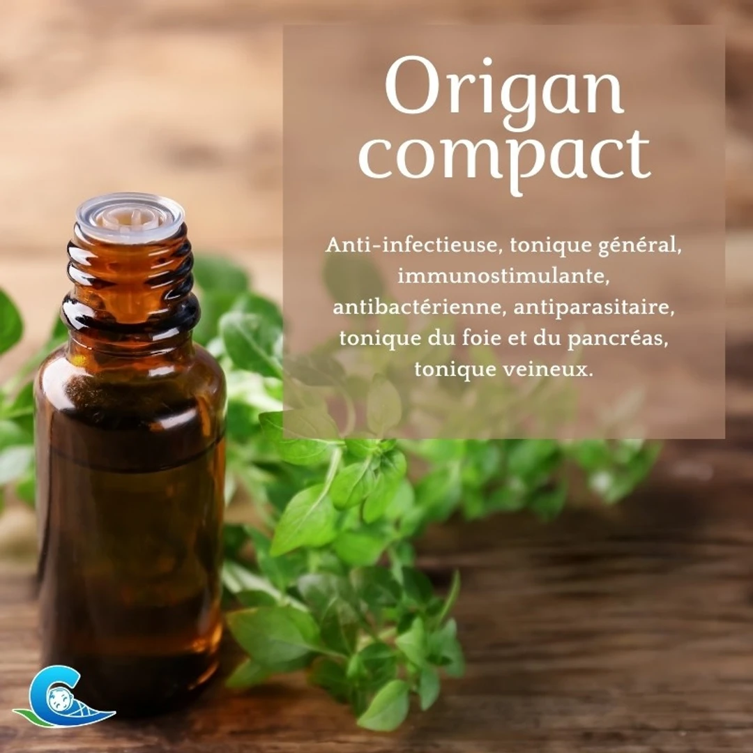 Huile Essentielle d'Origan Compact Bio Ceven'Aromes 10ml