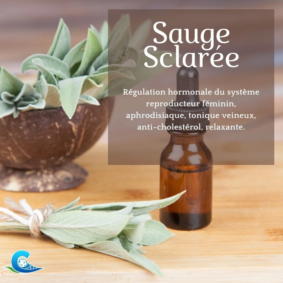 Huile Essentielle de Sauge Sclarée Bio Ceven'Aromes 10ml