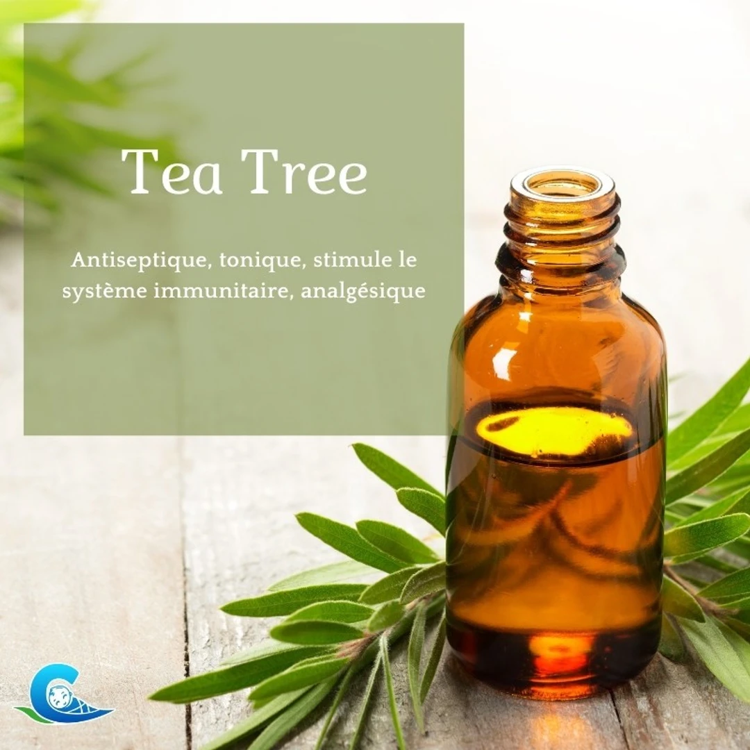 [HESSAT10ML] Huile Essentielle de Tea Tree Bio Ceven'Aromes 10Ml
