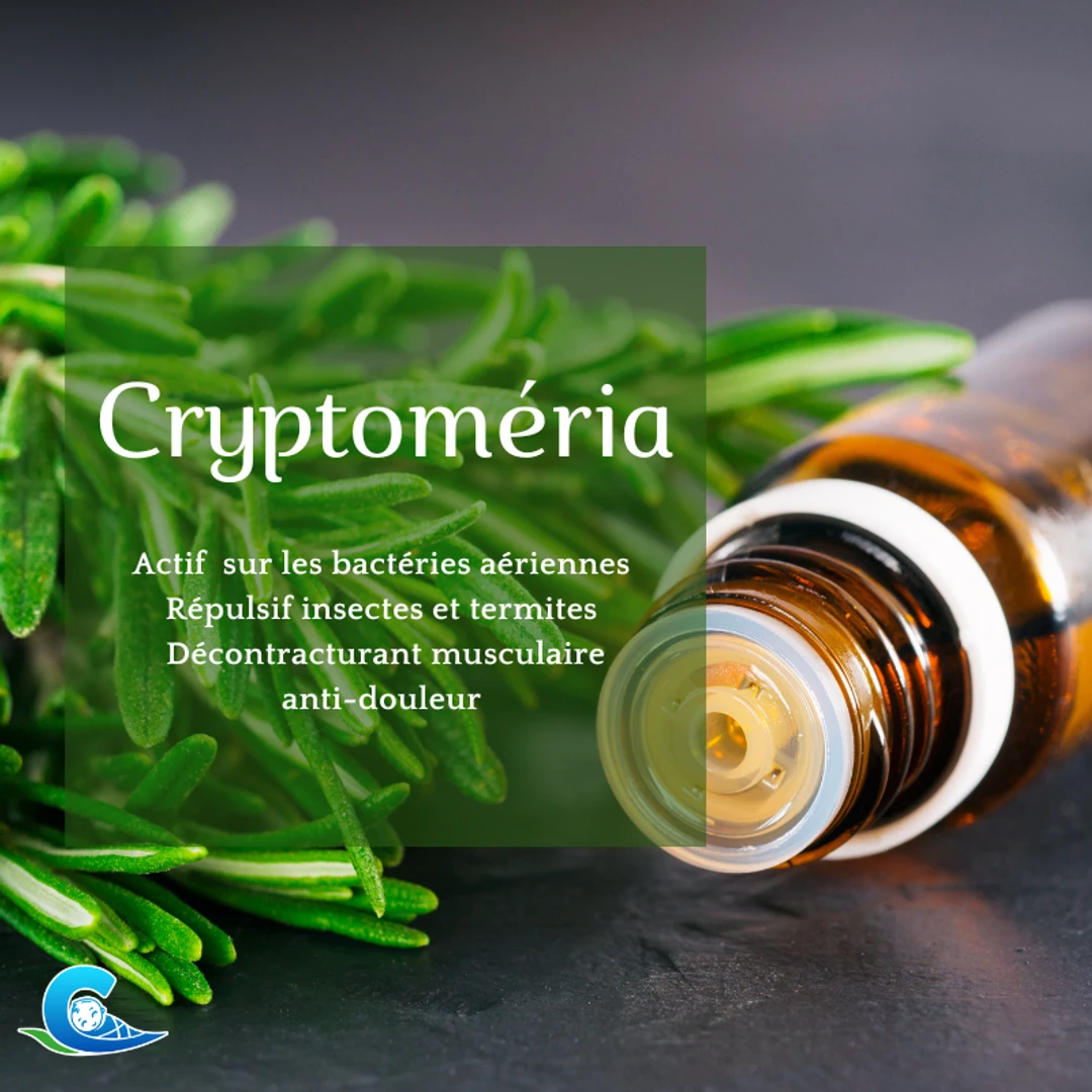 [HESSBC10ML] Huile Essentielle de Cryptomeria de La Réunion 10ml
