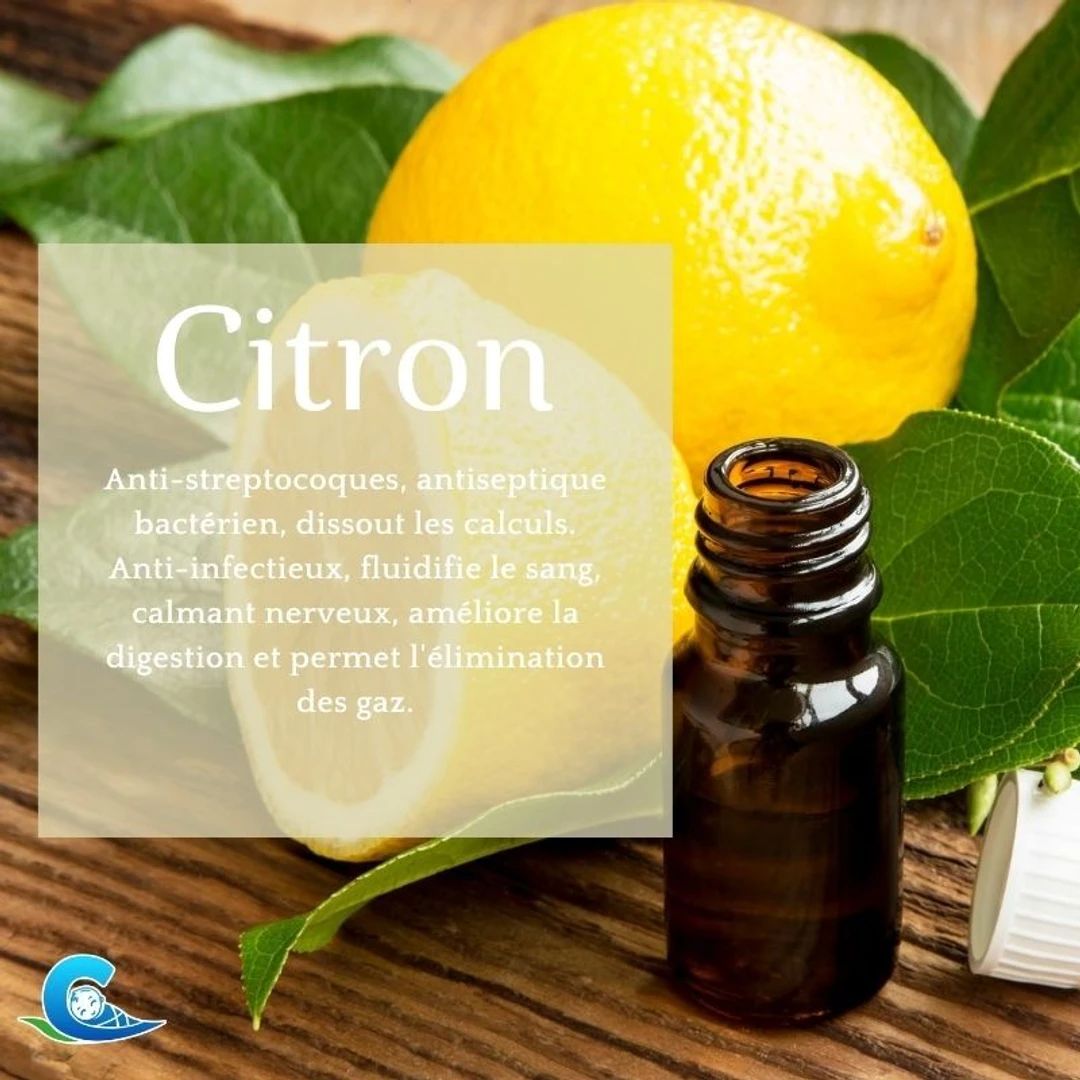 [HESSC] Huile Essentielle de Citron Bio Ceven'Aromes 10ml