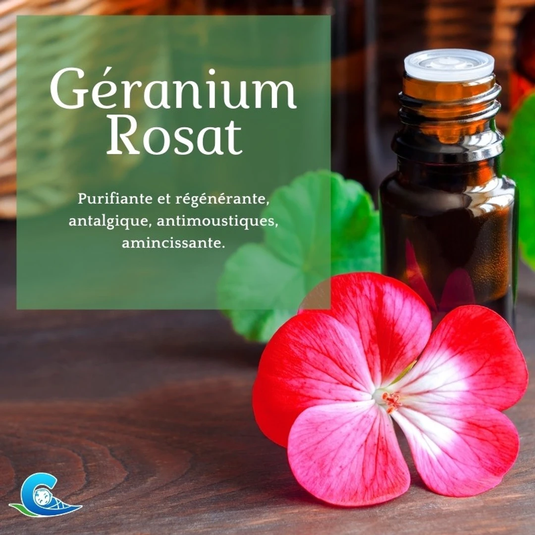 Huile Essentielle de Géranium Rosat Bio Ceven'Aromes 10ml