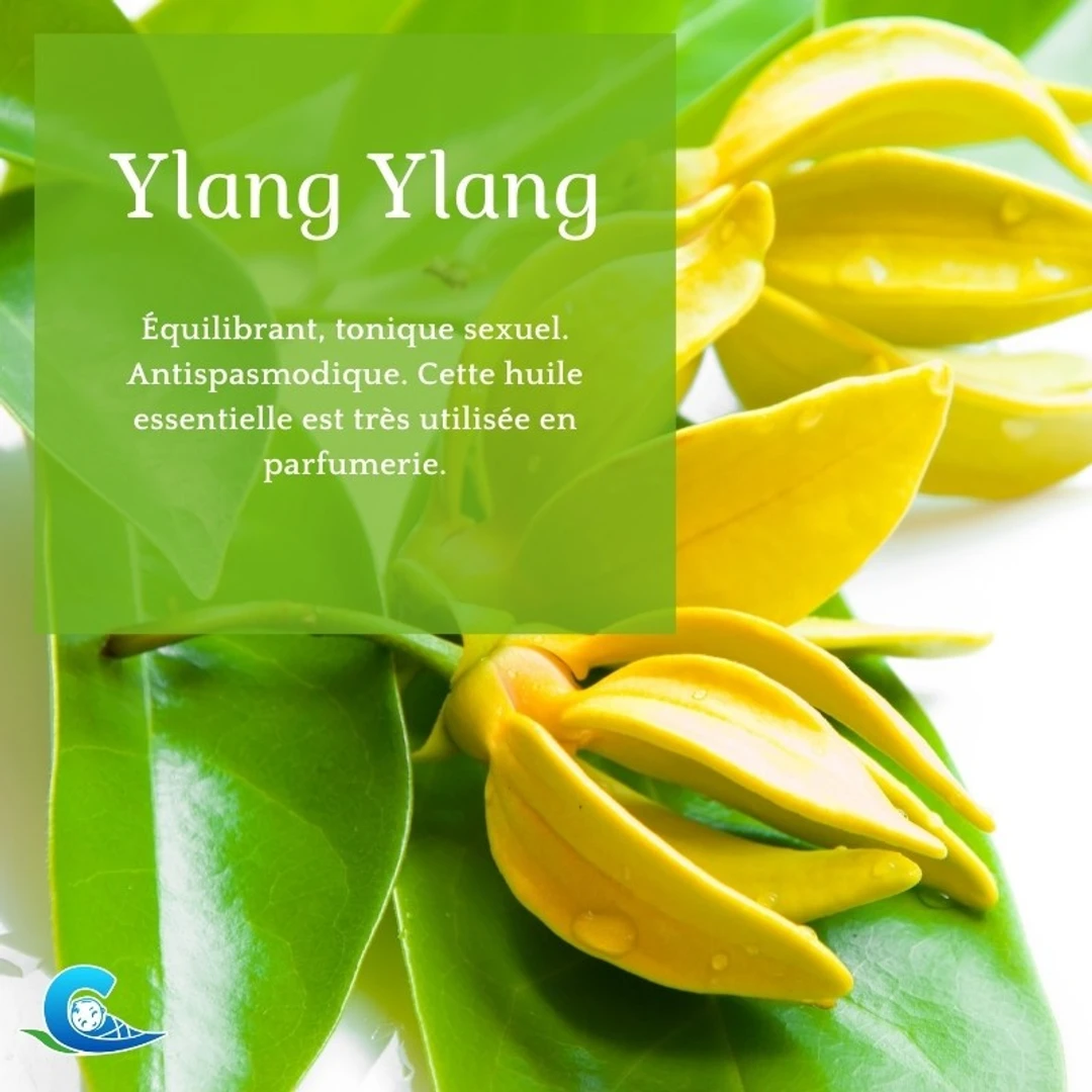 Huile Essentielle d'Ylang-Ylang Bio Ceven'Aromes 10ml