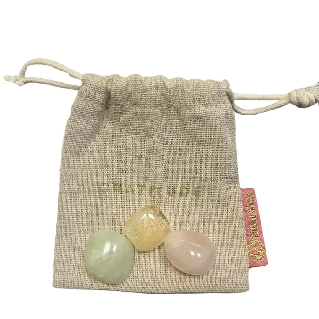 Lot de 3 Pierres Lithothérapie "Gratitude" Baby Shell