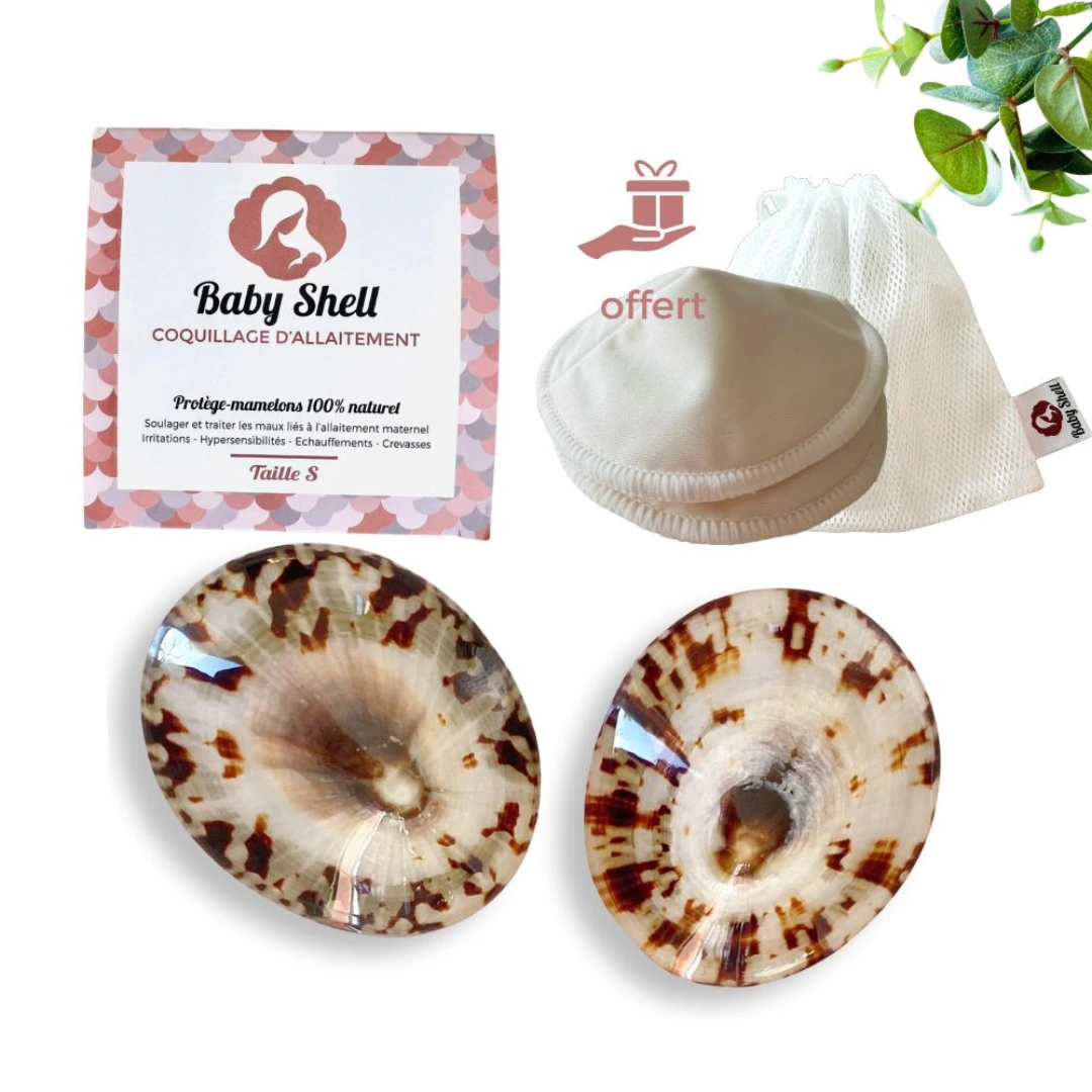 [BBSHELLCOQ-01] Coquillages d'Allaitement Baby Shell X2 (Small - Inférieur à 5cm)