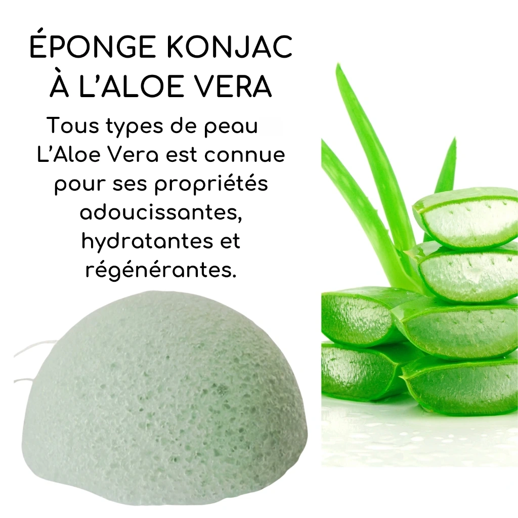 [EKV-01] Eponge Végétale Konjac Pour le Visage Sun&Sia (Aloe)