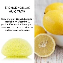 Eponge Végétale Konjac Pour le Visage Sun&Sia