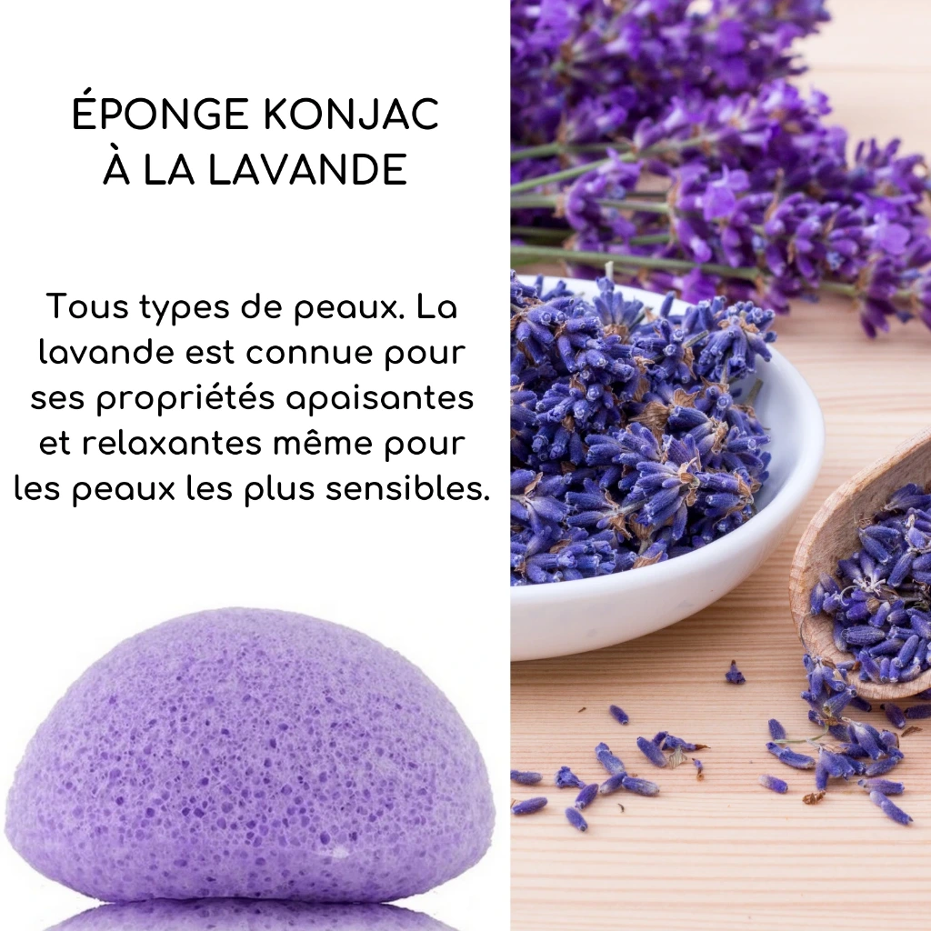 Eponge Végétale Konjac Pour le Visage Sun&Sia