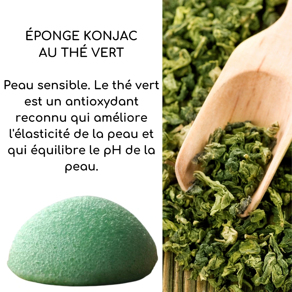 Eponge Végétale Konjac Pour le Visage Sun&Sia