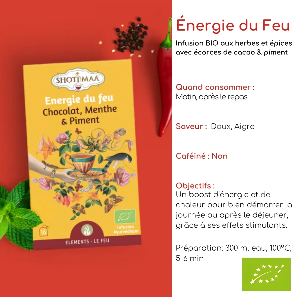 Tisane Bio Gamme "Eléments" SHOTI MAA Boite de 16 Sachets