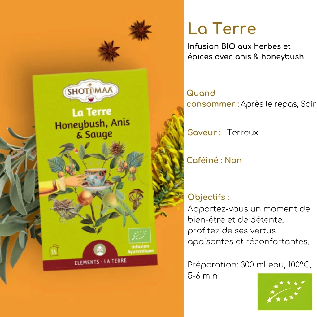 Tisane Bio Gamme "Eléments" SHOTI MAA Boite de 16 Sachets