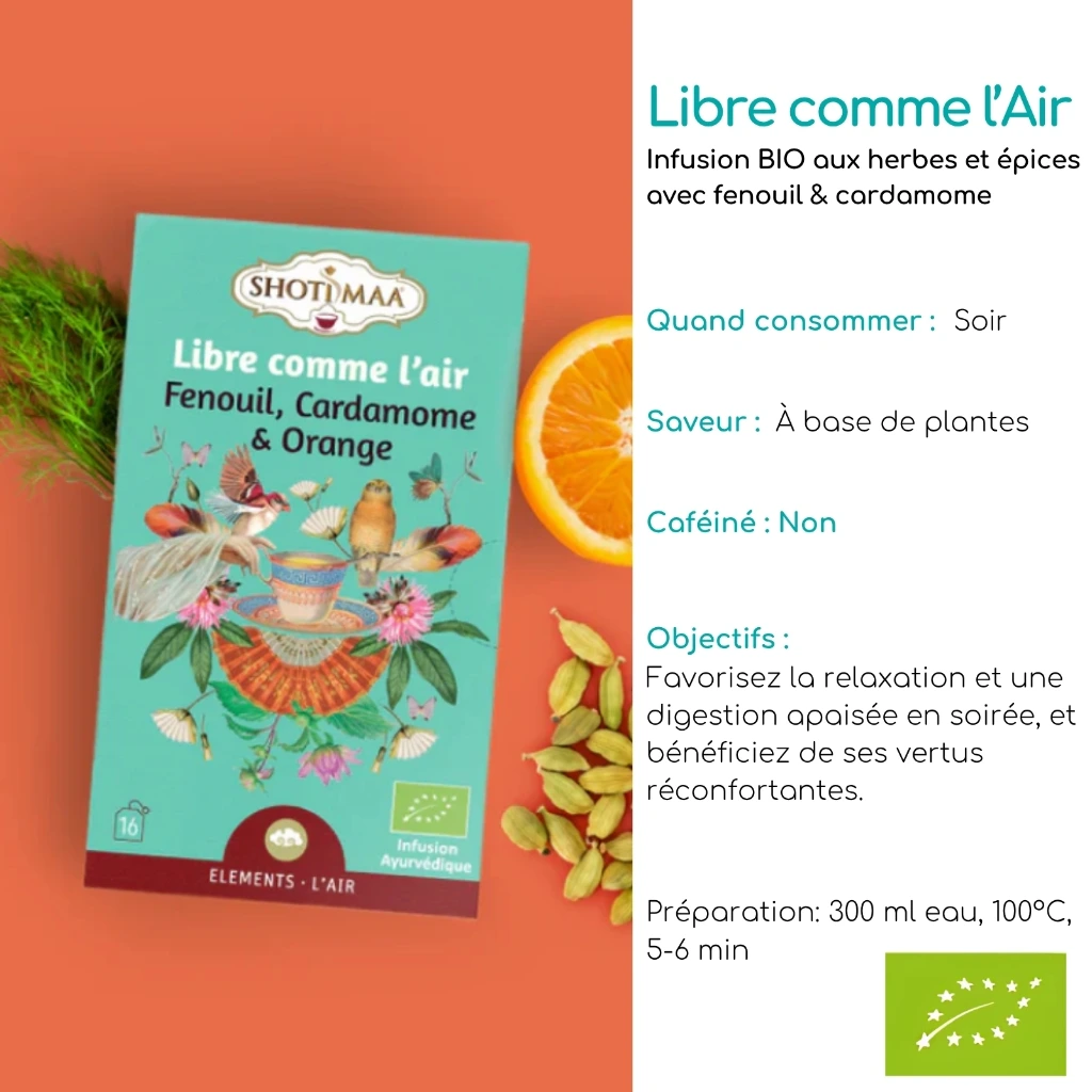 Tisane Bio Gamme "Eléments" SHOTI MAA Boite de 16 Sachets